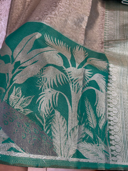 Designer Tissue Banarasi Saree in Silver with Seagreen Border